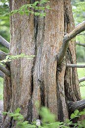 VR新游《蝙蝠侠:阿卡姆之影》新预告 10月发售